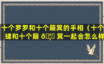 十个罗罗和十个簸箕的手相（十个螺和十个簸 🦁 箕一起会怎么样 🐅 ）